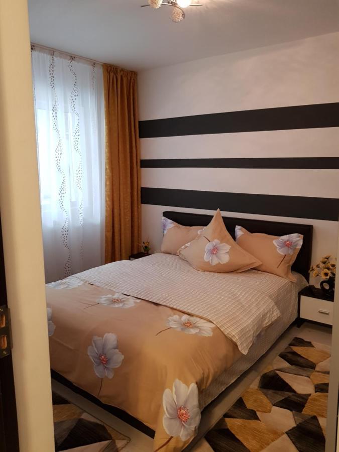 Apartament Sofy2 Băile Herculane Eksteriør billede