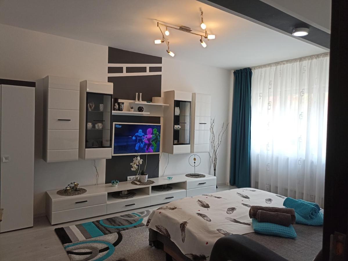 Apartament Sofy2 Băile Herculane Eksteriør billede