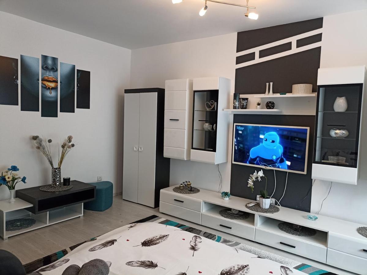 Apartament Sofy2 Băile Herculane Eksteriør billede