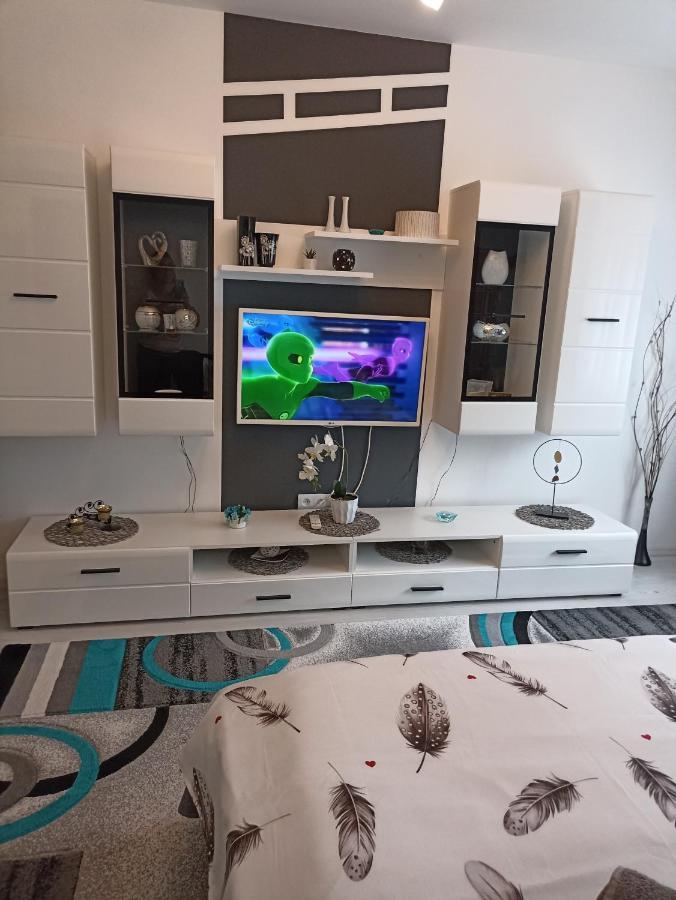 Apartament Sofy2 Băile Herculane Eksteriør billede