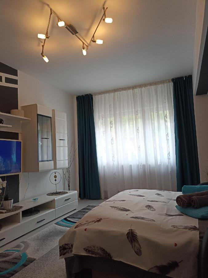 Apartament Sofy2 Băile Herculane Eksteriør billede