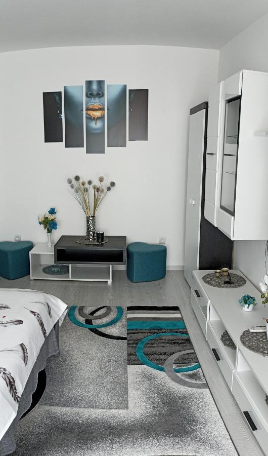 Apartament Sofy2 Băile Herculane Eksteriør billede