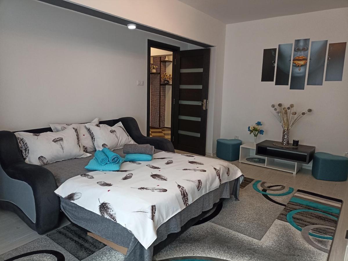 Apartament Sofy2 Băile Herculane Eksteriør billede