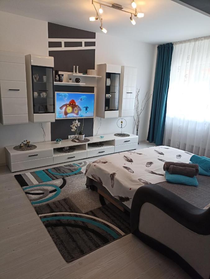 Apartament Sofy2 Băile Herculane Eksteriør billede